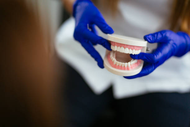 Best Preventive Dentistry  in Calumet Park, IL
