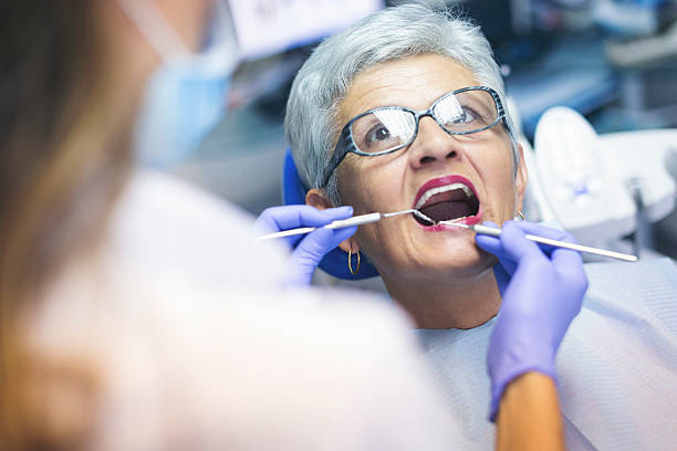 Trusted Calumet Park, IL  Holistic Dental Services Experts
